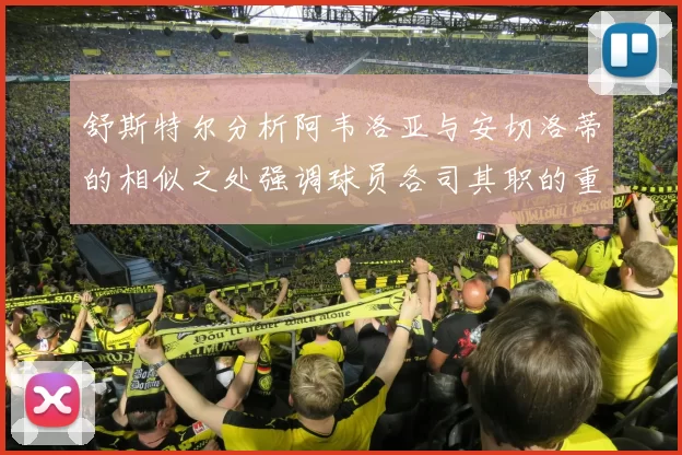 舒斯特尔分析阿韦洛亚与安切洛蒂的相似之处强调球员各司其职的重要性