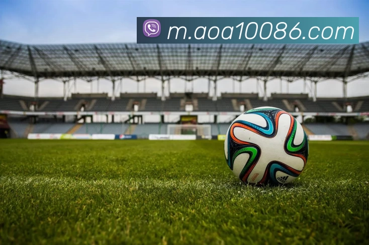 App Interface Preview