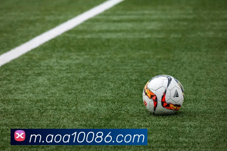 AOA体育APP 封面图